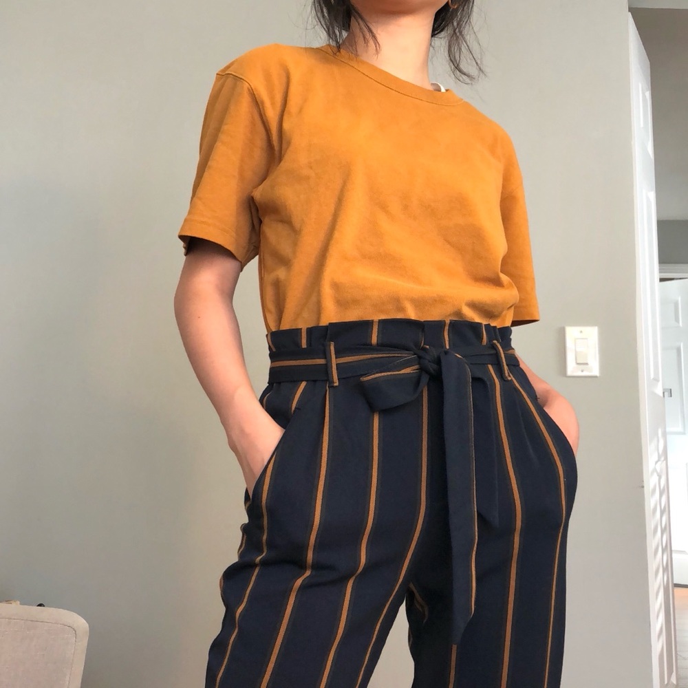 ZARA trafaluc paper bag pants XS